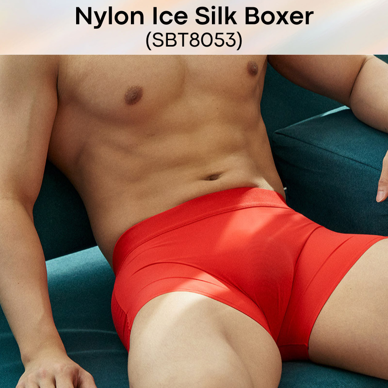 Men's Boxer: Nylon Ice Silk Boxer Trunks Underwear (SBT8053)