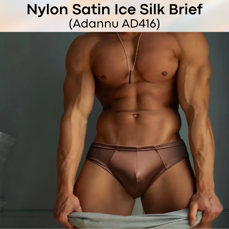 Men's Brief: Nylon Satin Ice Silk Brief Underwear (AD416)
