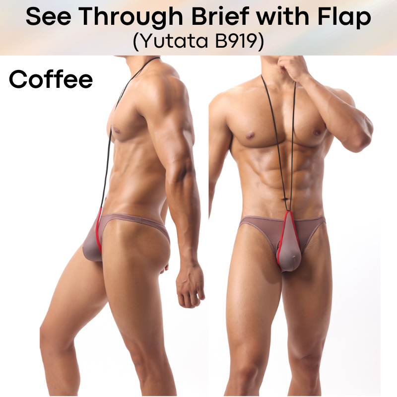 Men's Brief: Polyester Ice Silk Transluscent Brief with Open Flap and Neckline (B919)