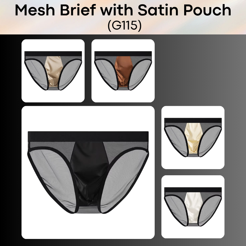 Men's Brief: Polyester Mesh See Through Brief with Satin Pouch Underwear (G115)