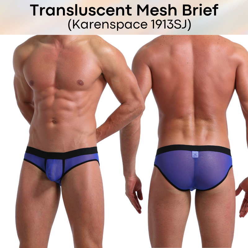 Men's Brief: Polyester Translucent Mesh Brief Underwear (KS1913SJ)