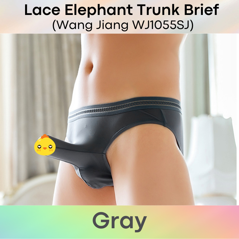 Men's Brief: Ice Silk Lace Waistband Brief with Elephant Trunk Pouch (WJ1055SJ)