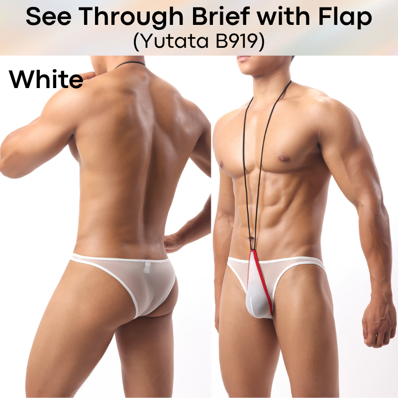 Men's Brief: Polyester Ice Silk Transluscent Brief with Open Flap and Neckline (B919)