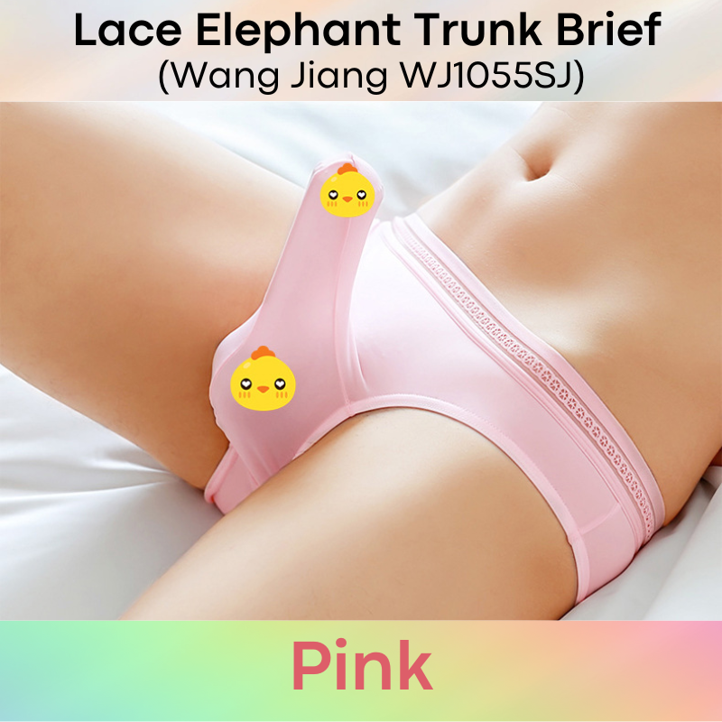 Men's Brief: Ice Silk Lace Waistband Brief with Elephant Trunk Pouch (WJ1055SJ)