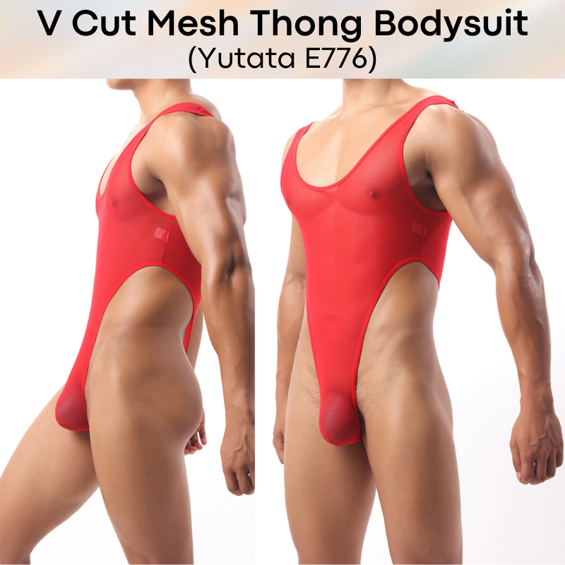 Mens Bodysuit: Polyester Mesh V Cut Thong Bodysuit Underwear (E776)
