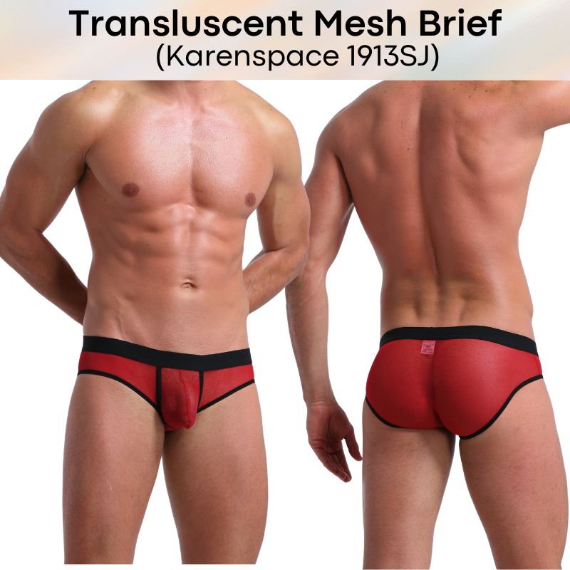 Men's Brief: Polyester Translucent Mesh Brief Underwear (KS1913SJ)