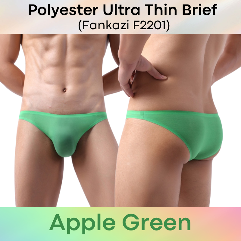 Men's Brief: Polyester Ice Silk Ultra Thin No Line Brief Underwear Underwear (F2201)