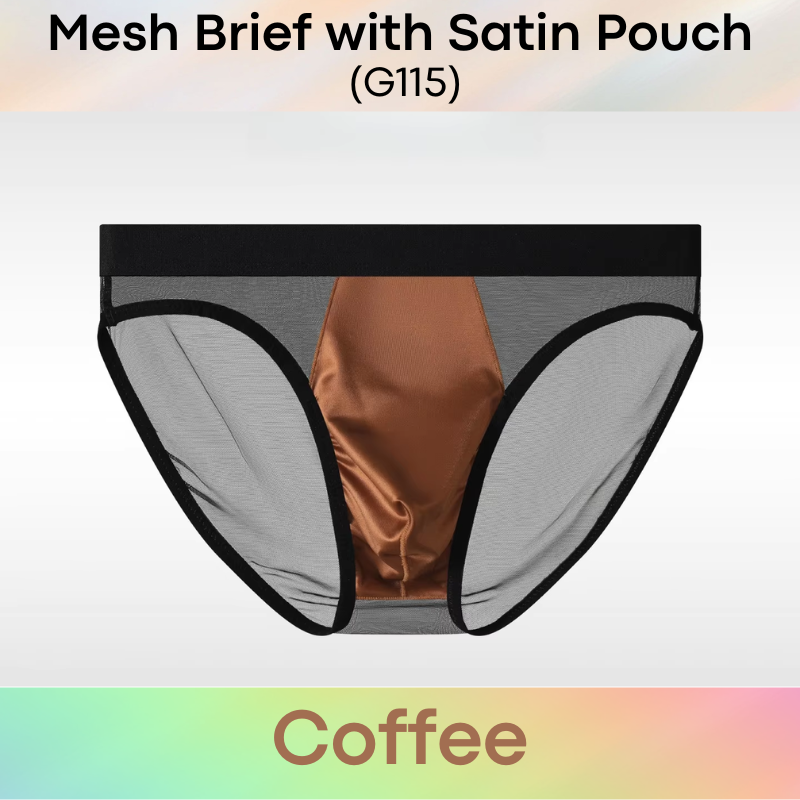 Men's Brief: Polyester Mesh See Through Brief with Satin Pouch Underwear (G115)
