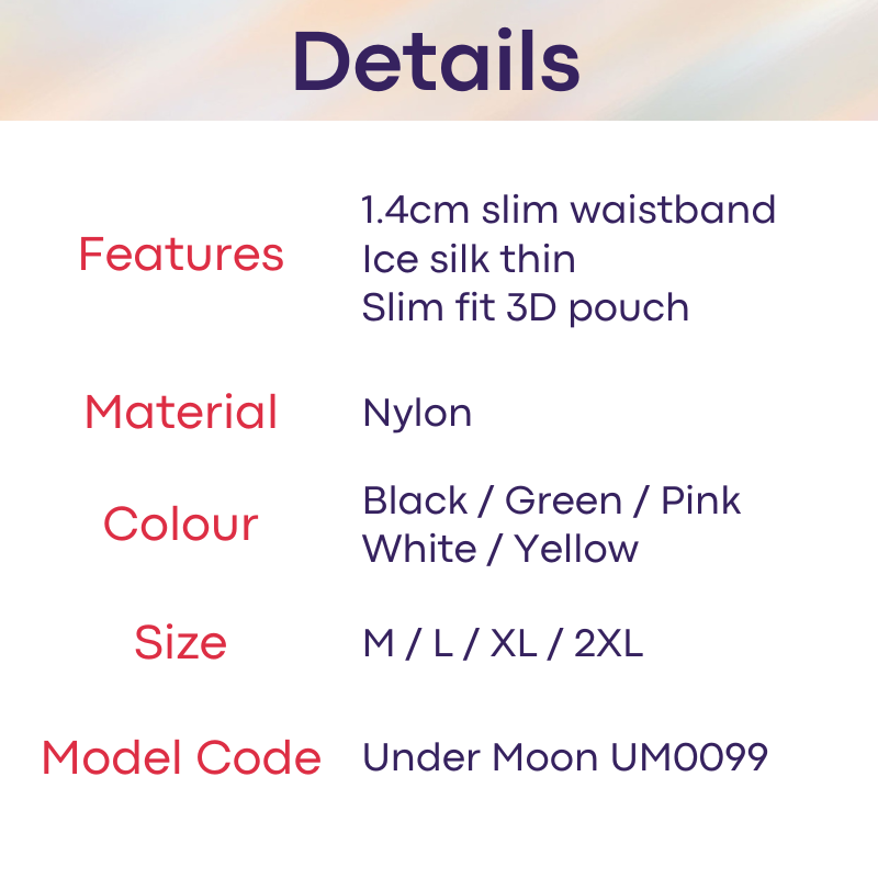 Men's Thong: Nylon Ice Silk Slim Fit Pouch Thong Underwear (UM0099)