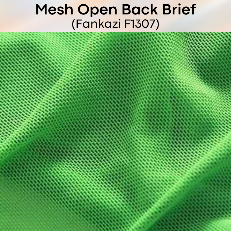 Men's Brief: Brief with Mesh See Through Underwear (F1307)