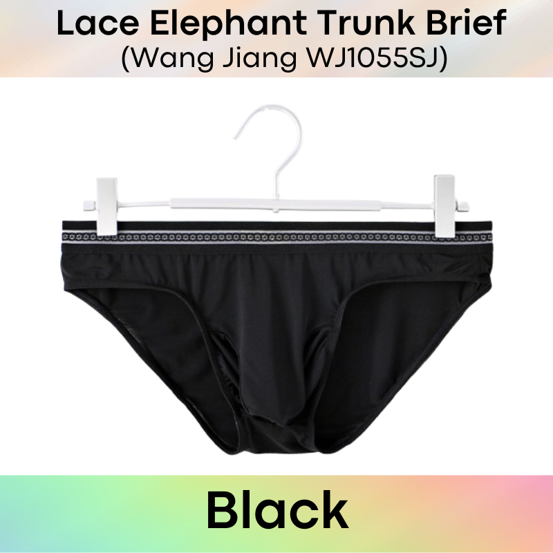 Men's Brief: Ice Silk Lace Waistband Brief with Elephant Trunk Pouch (WJ1055SJ)
