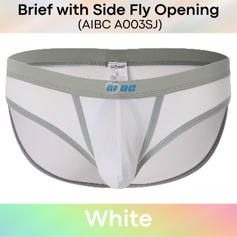 Men's Brief: Polyester Brief with Side Fly Opening Underwear (A003SJ)