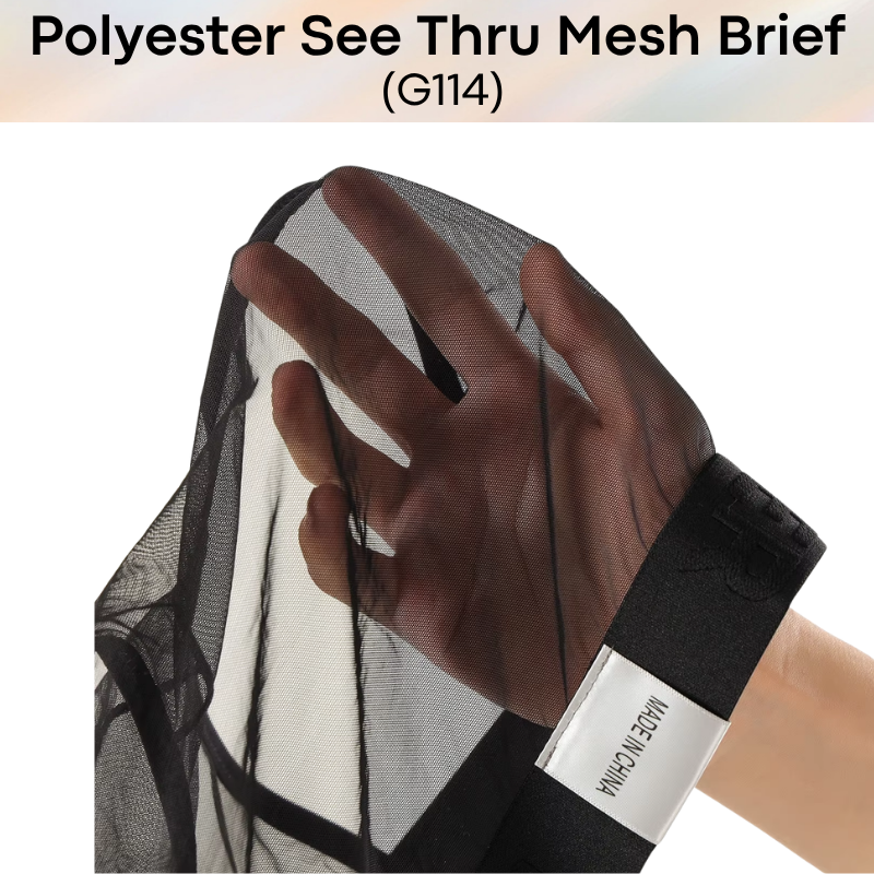 Men's Brief: Polyester Mesh See Through Brief Underwear (G114)