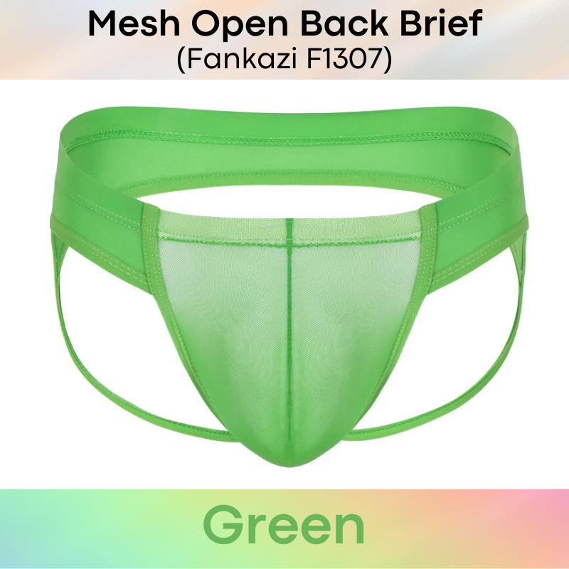 Men's Brief: Brief with Mesh See Through Underwear (F1307)
