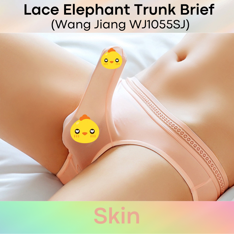 Men's Brief: Ice Silk Lace Waistband Brief with Elephant Trunk Pouch (WJ1055SJ)