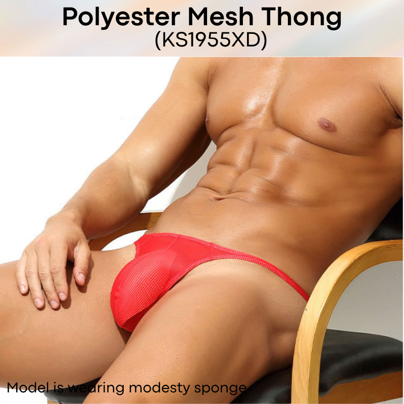 Men's Thong: Polyester Mesh Thong Underwear (KS1955XD)