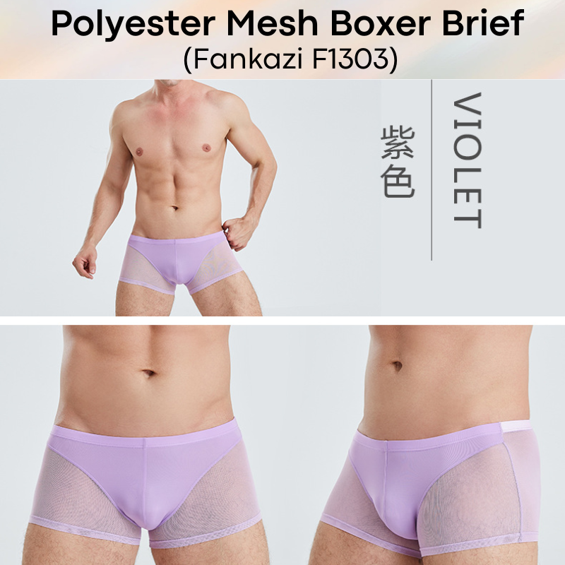 Men's Boxer: Polyester Mesh See Through with Ice Silk Pouch Layer Boxer Brief Underwear (F1303)