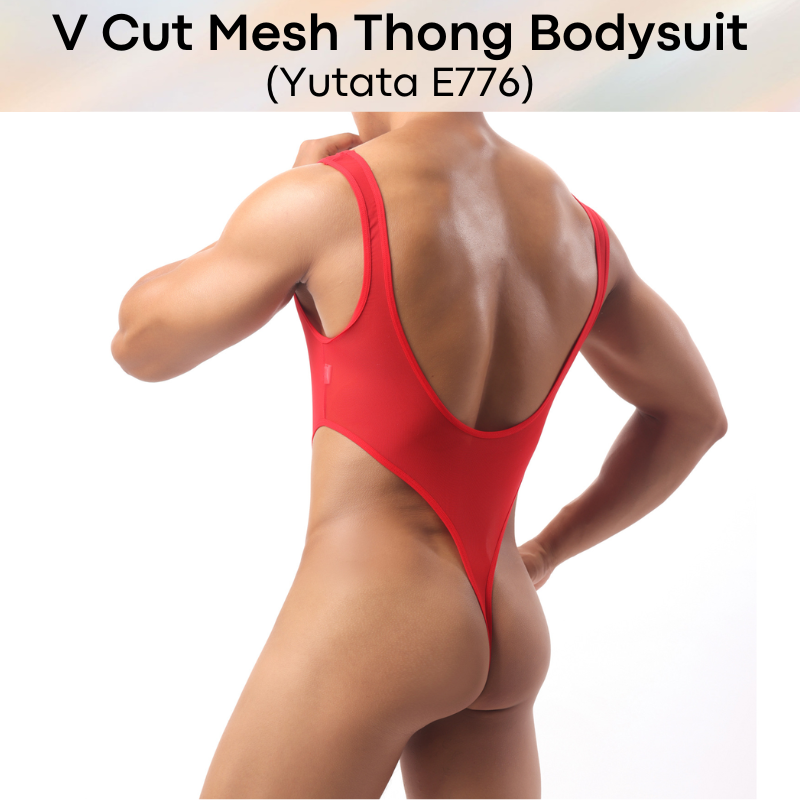 Mens Bodysuit: Polyester Mesh V Cut Thong Bodysuit Underwear (E776)