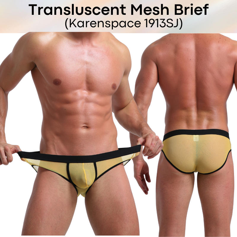 Men's Brief: Polyester Translucent Mesh Brief Underwear (KS1913SJ)