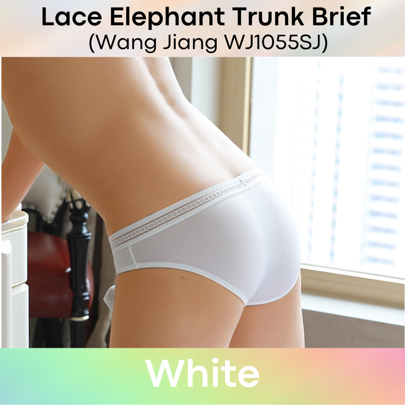Men's Brief: Ice Silk Lace Waistband Brief with Elephant Trunk Pouch (WJ1055SJ)