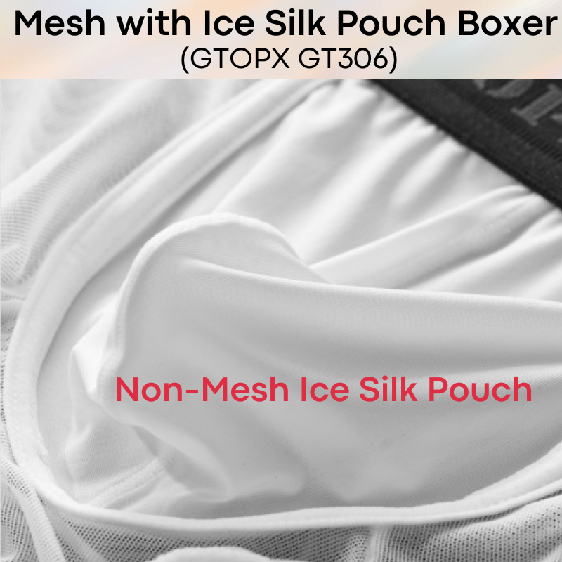 Men's Boxer : Nylon Mesh See Through with Non-Mesh Ice Silk Pouch Boxer Underwear (GTOPX GT306)