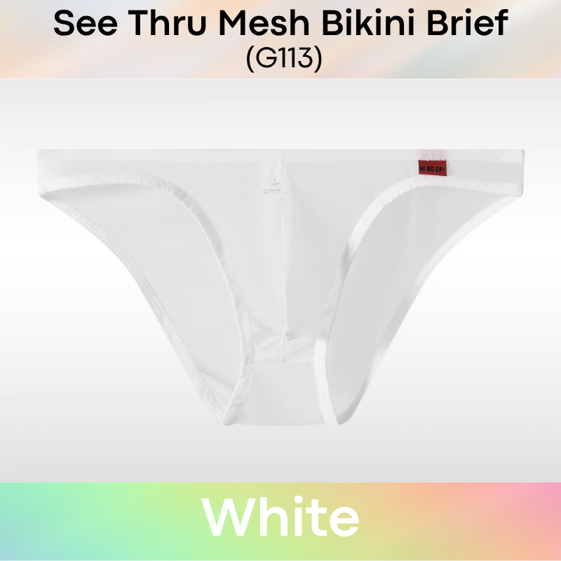 Men's Brief: Polyester Mesh See Through Bikini Brief Underwear (G113)