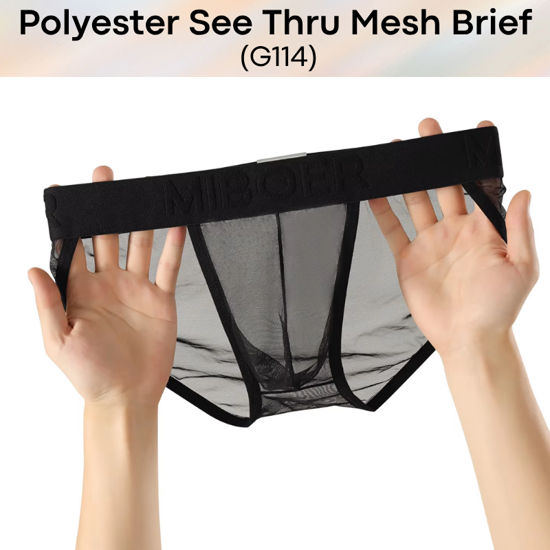 Men's Brief: Polyester Mesh See Through Brief Underwear (G114)