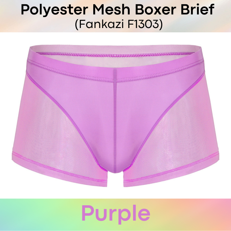 Men's Boxer: Polyester Mesh See Through with Ice Silk Pouch Layer Boxer Brief Underwear (F1303)