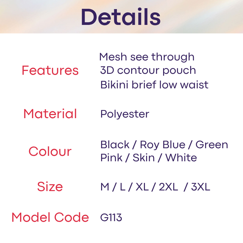 Men's Brief: Polyester Mesh See Through Bikini Brief Underwear (G113)