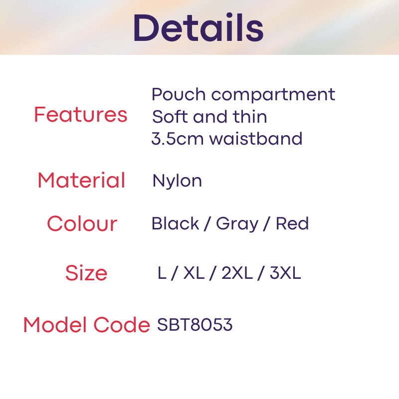 Men's Boxer: Nylon Ice Silk Boxer Trunks Underwear (SBT8053)