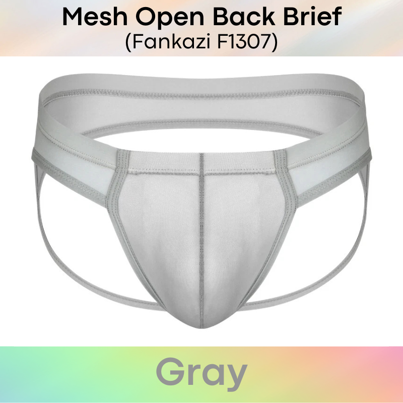 Men's Brief: Brief with Mesh See Through Underwear (F1307)