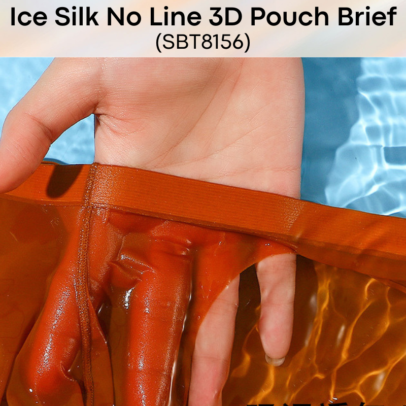 Men's Brief : Nylon Ice Silk, No Line, 3D Pouch Brief Underwear (SBT8156)