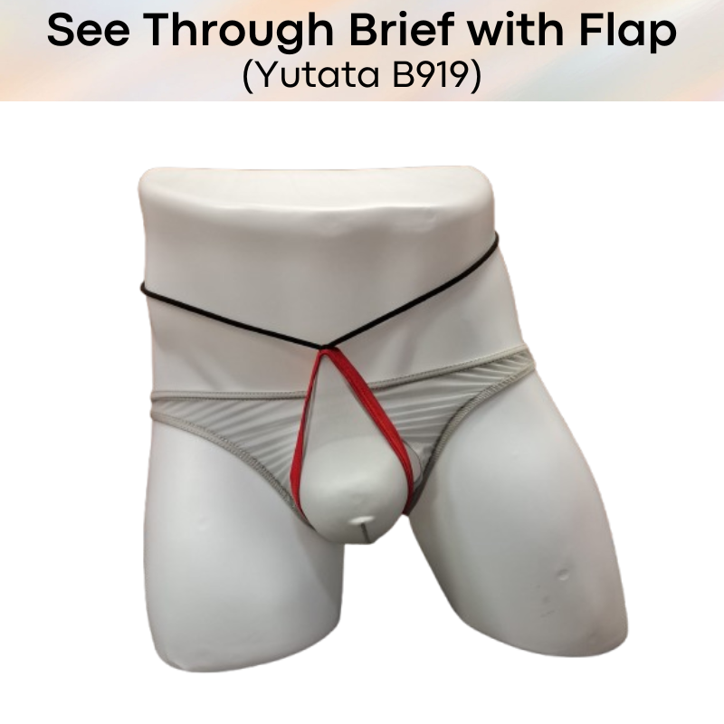 Men's Brief: Polyester Ice Silk Transluscent Brief with Open Flap and Neckline (B919)