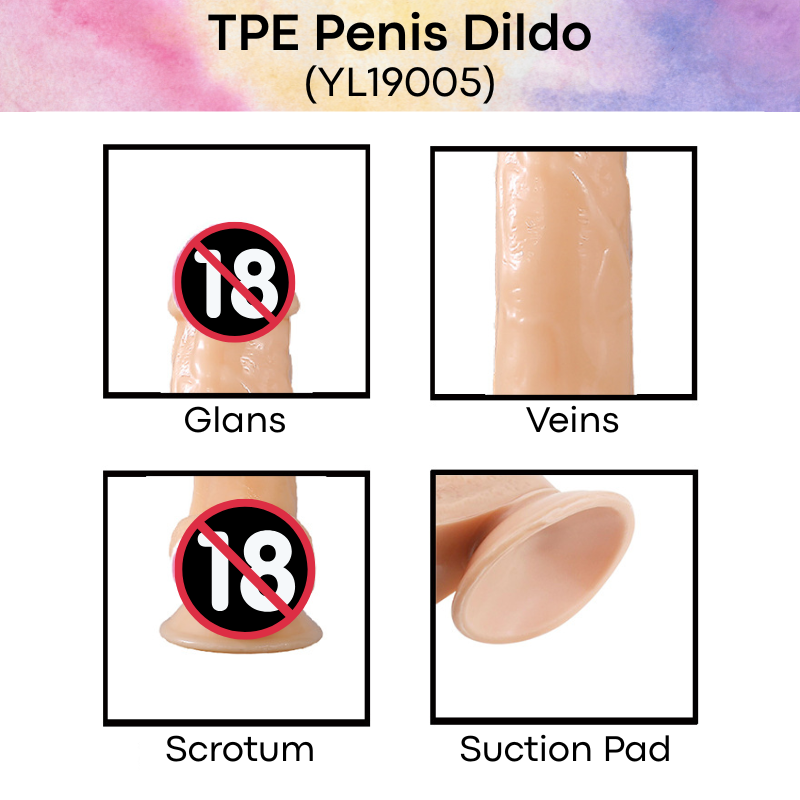 Men's Adult Toy: TPE Penis Dildo with Suction Pad (YL19005)