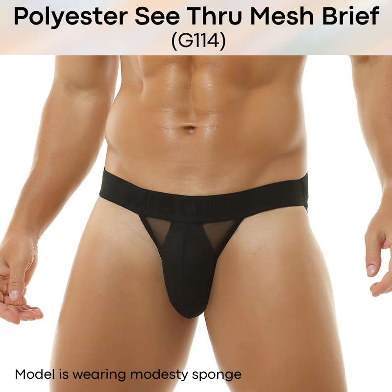 Men's Brief: Polyester Mesh See Through Brief Underwear (G114)