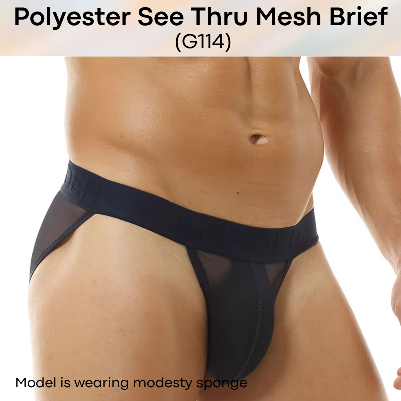 Men's Brief: Polyester Mesh See Through Brief Underwear (G114)