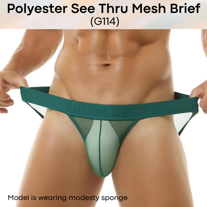 Men's Brief: Polyester Mesh See Through Brief Underwear (G114)