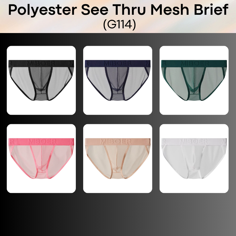 Men's Brief: Polyester Mesh See Through Brief Underwear (G114)