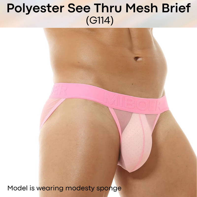 Men's Brief: Polyester Mesh See Through Brief Underwear (G114)