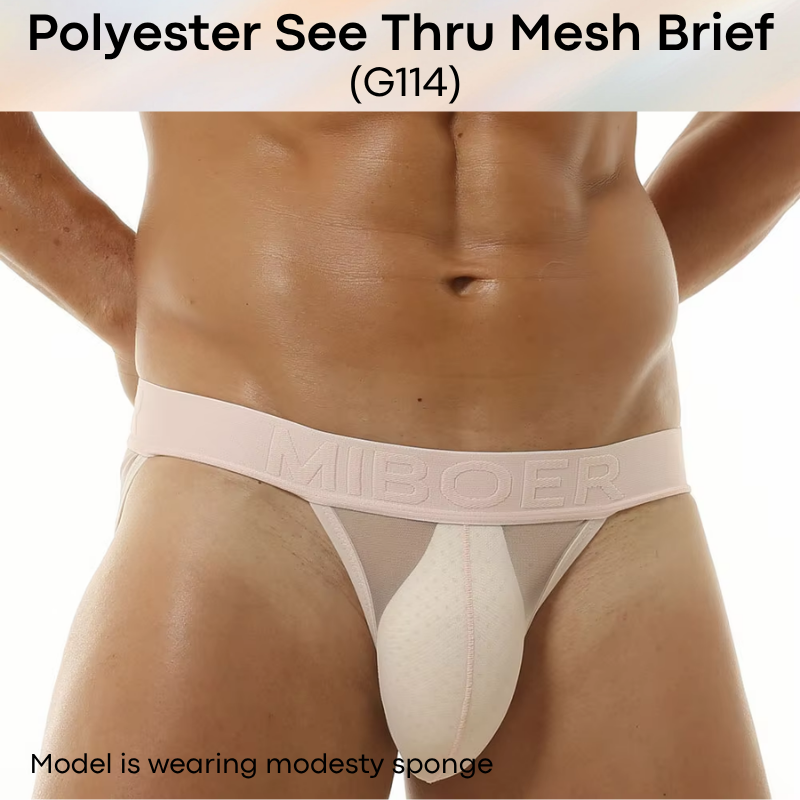 Men's Brief: Polyester Mesh See Through Brief Underwear (G114)