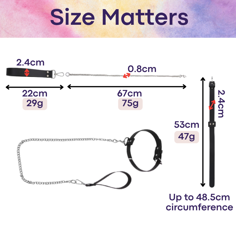 Adult Toy: Unisex PVC Leash and Whip Set (CMG080/CMG081)