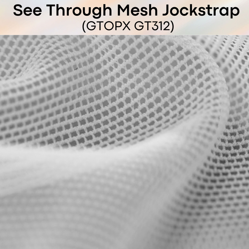 Men's Jockstrap: Nylon See Through Mesh with Transparent Plastic Thigh Strap Underwear (GT312)
