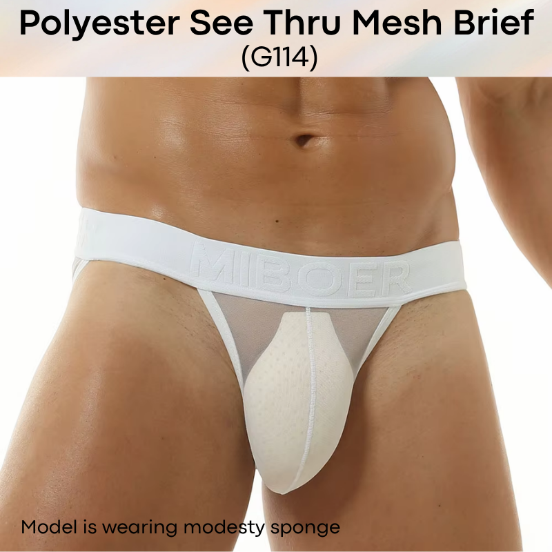 Men's Brief: Polyester Mesh See Through Brief Underwear (G114)