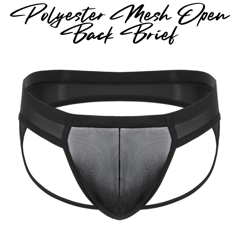 Men's Brief: Brief with Mesh See Through Underwear (F1307)