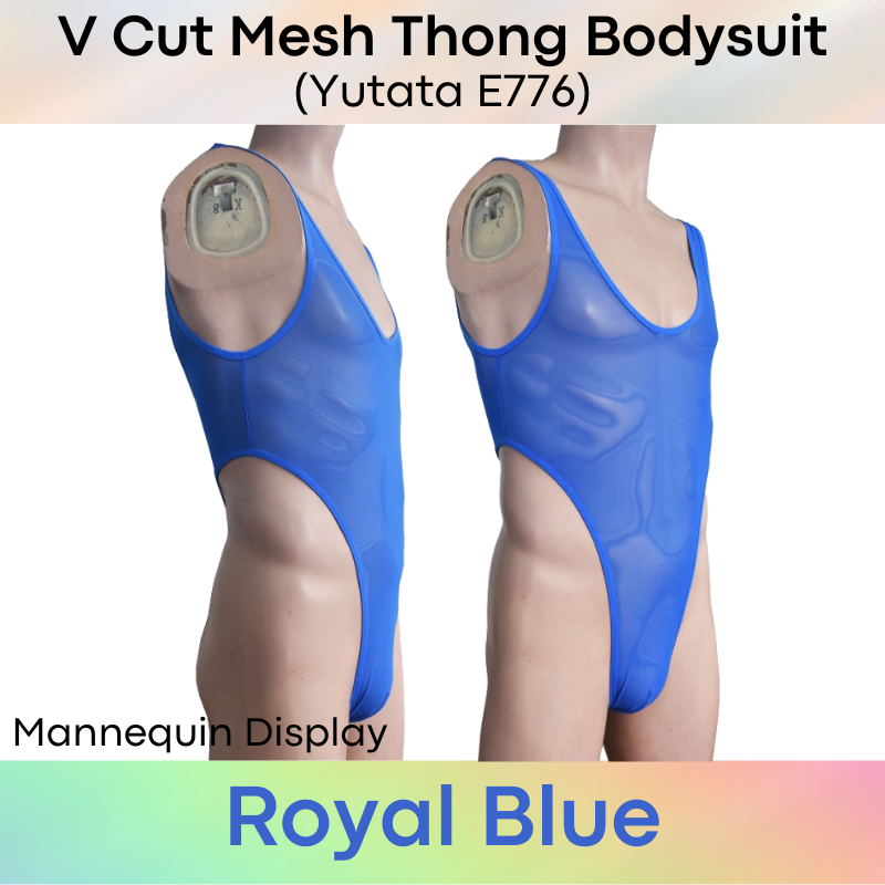 Mens Bodysuit: Polyester Mesh V Cut Thong Bodysuit Underwear (E776)