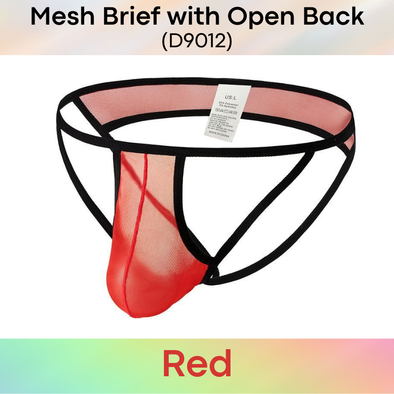 Men's Brief : Polyester Mesh Brief with Open Back (D9012)