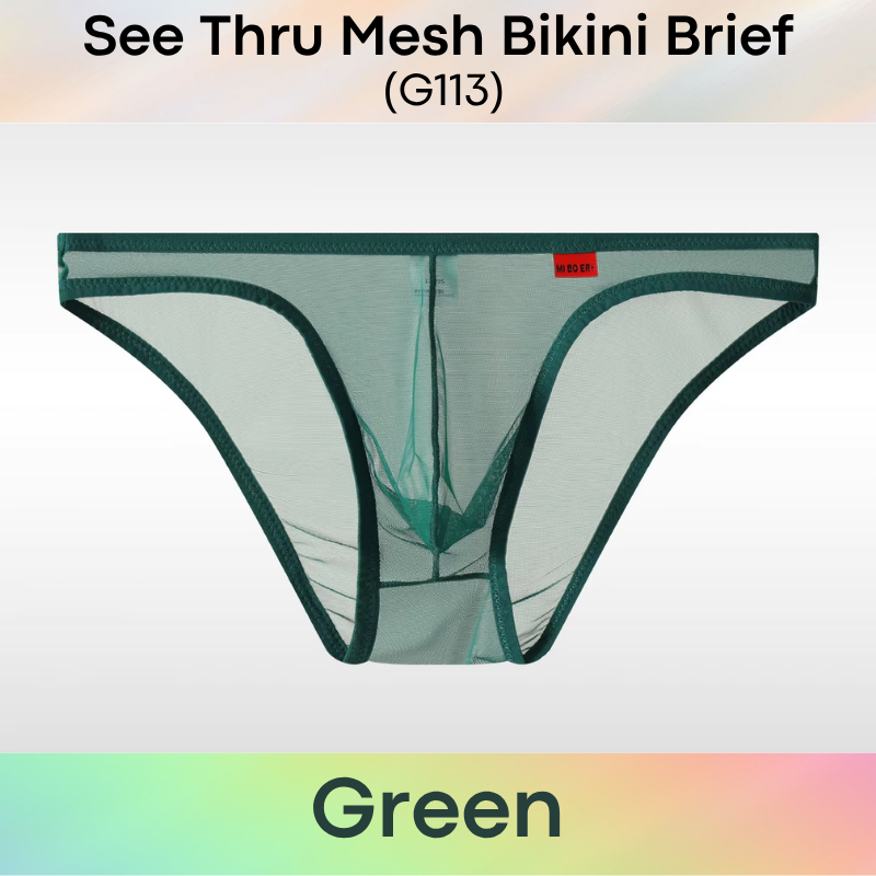 Men's Brief: Polyester Mesh See Through Bikini Brief Underwear (G113)