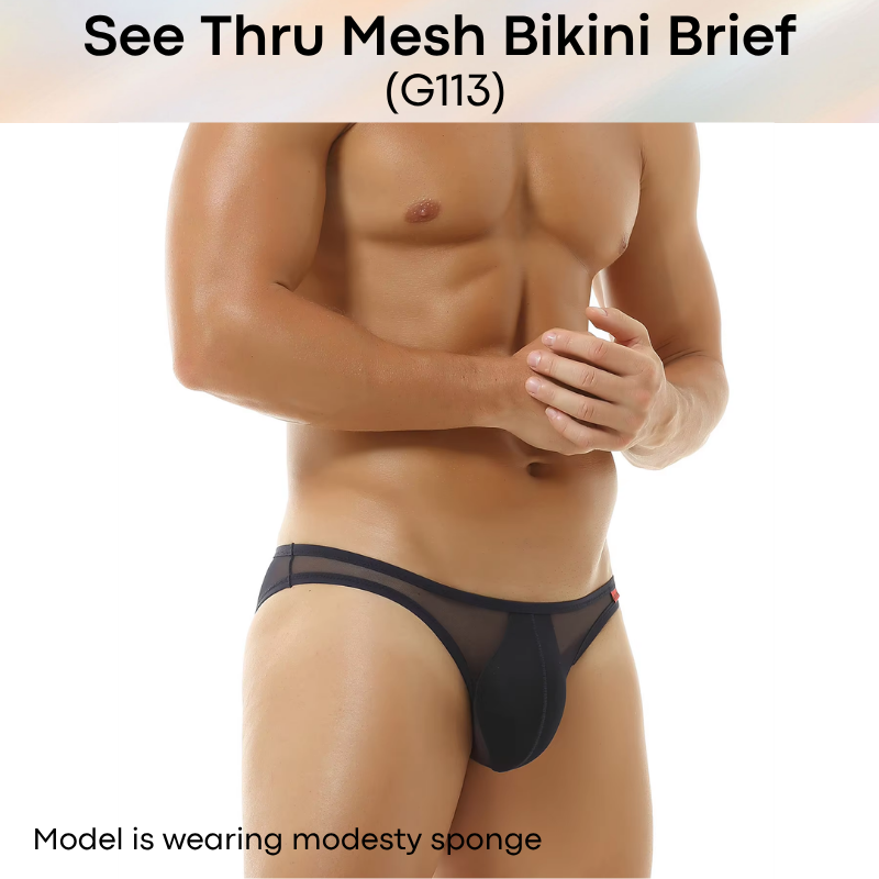 Men's Brief: Polyester Mesh See Through Bikini Brief Underwear (G113)