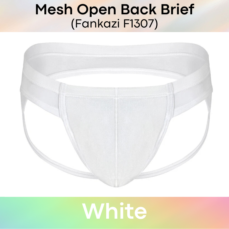 Men's Brief: Brief with Mesh See Through Underwear (F1307)