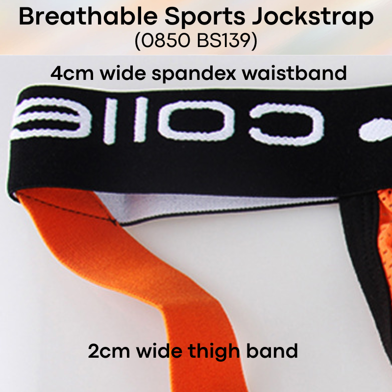 Men's Jockstrap: Nylon Perforated Sports Jockstrap with Spandex Waistband (BS139)